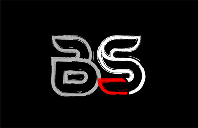 Integración de Black Bs As en eventos y festivales culturales locales